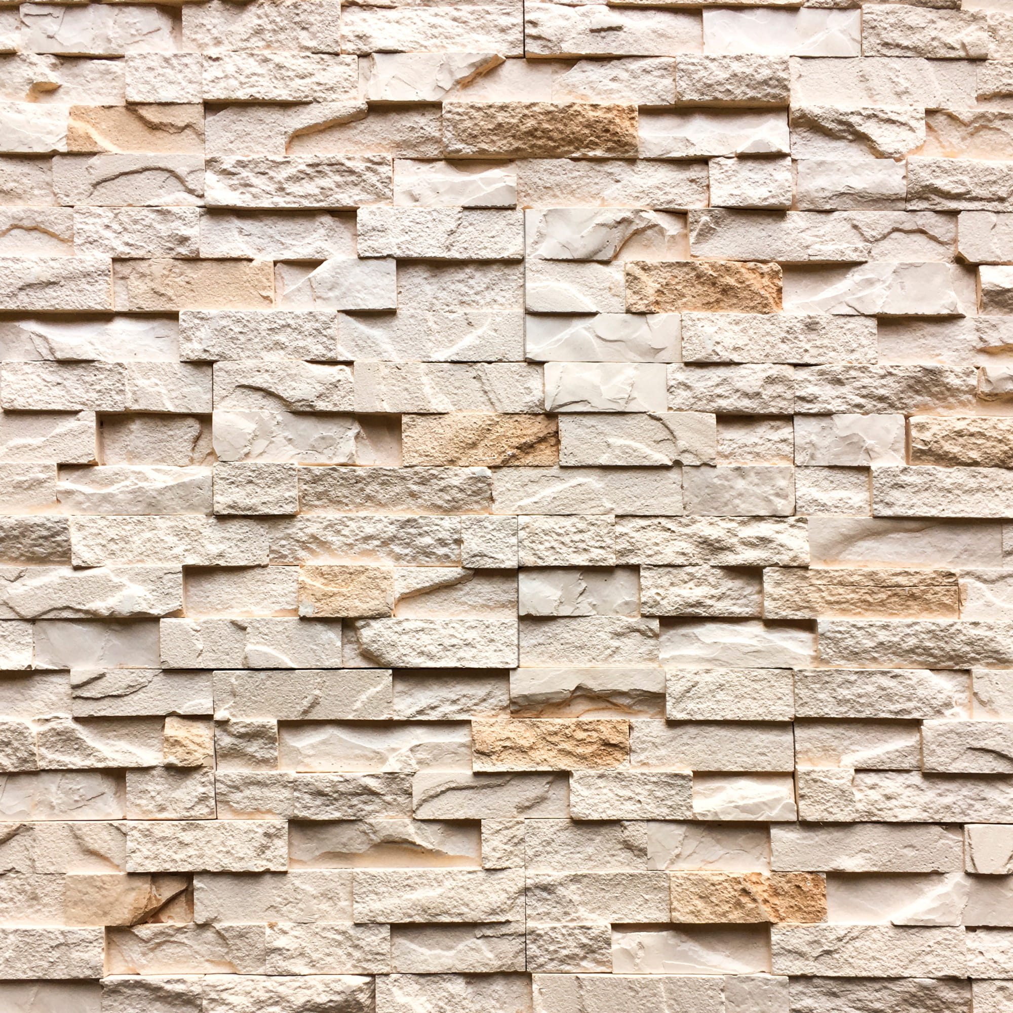 Живий камінь